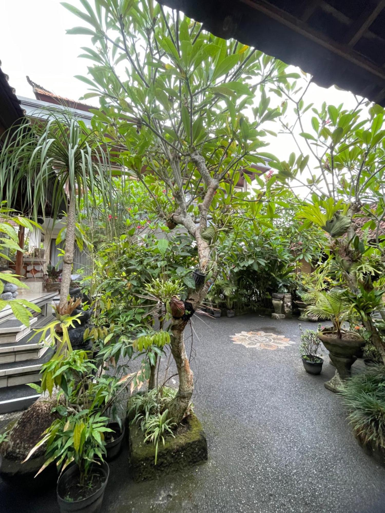 Suntari Homestay Ubud Eksteriør bilde