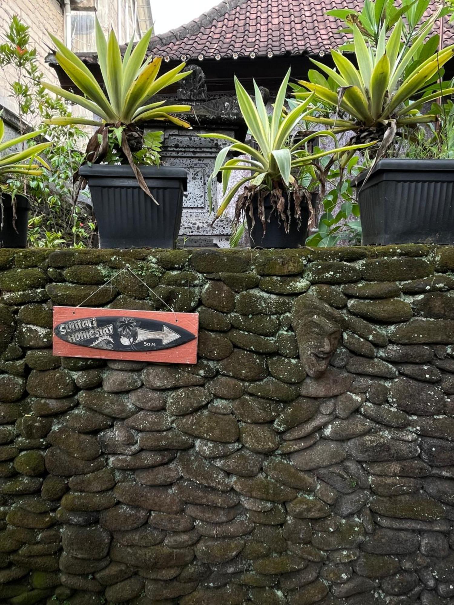 Suntari Homestay Ubud Eksteriør bilde